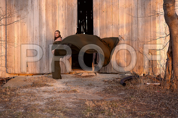 Fine Art Kansas City Maternity Photography | Luxury Pregnancy Portraits