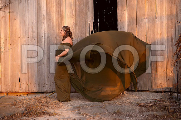 Fine Art Kansas City Maternity Photography | Luxury Pregnancy Portraits