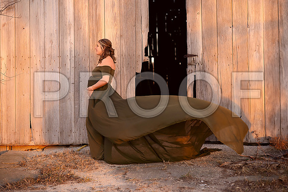 Fine Art Kansas City Maternity Photography | Luxury Pregnancy Portraits
