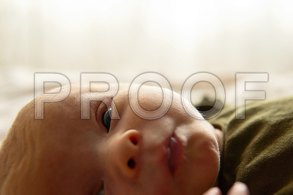 Kansas City Studio Lifestyle Newborn Photography | Natural & Timeless Newborn Portraits