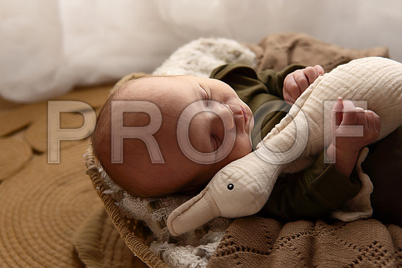 Kansas City Studio Lifestyle Newborn Photography | Natural & Timeless Newborn Portraits