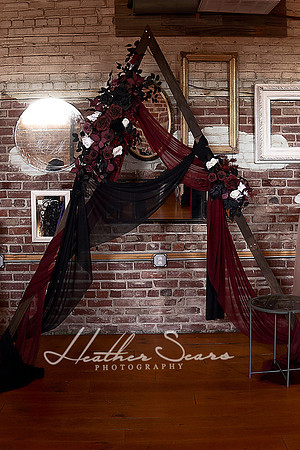 Heather Sears Photography | Timeless Luxury Wedding & Portrait Photography for Kansas City Couples