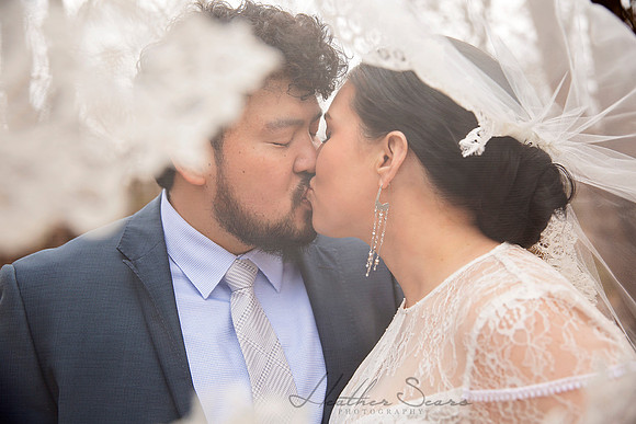 Heather Sears Photography | Timeless Luxury Wedding & Portrait Photography for Kansas City Couples