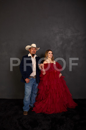 Kansas City Fine Art Studio Maternity Photography | Paola & Osawatomie Studio