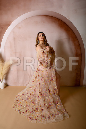 Kansas City Fine Art Studio Maternity Photography | Paola & Osawatomie Studio