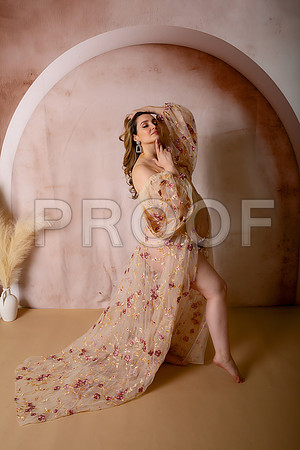 Kansas City Fine Art Studio Maternity Photography | Paola & Osawatomie Studio