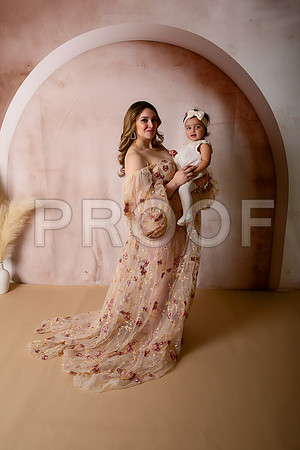 Kansas City Fine Art Studio Maternity Photography | Paola & Osawatomie Studio