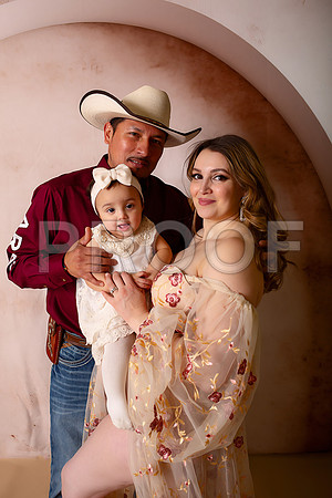 Kansas City Fine Art Studio Maternity Photography | Paola & Osawatomie Studio