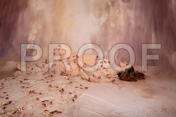 Kansas City Fine Art Studio Maternity Photography | Paola & Osawatomie Studio