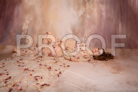 Kansas City Fine Art Studio Maternity Photography | Paola & Osawatomie Studio