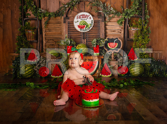 Kansas City Watermelon Cake Smash Photographer | First Birthday Portraits