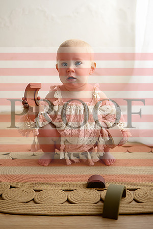 KC Milestone Photographer | Studio & Client Closet