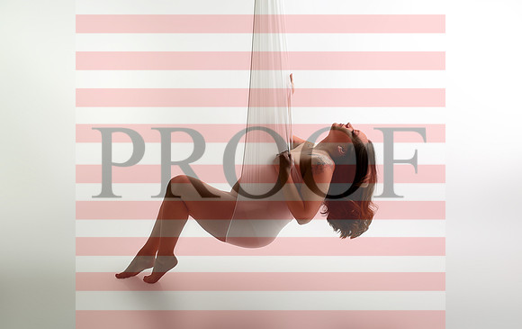 Kansas City Fine Art Studio Maternity Photography | Paola & Osawatomie Studio