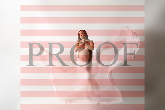 Kansas City Fine Art Studio Maternity Photography | Paola & Osawatomie Studio