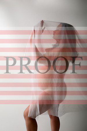 Kansas City Fine Art Studio Maternity Photography | Paola & Osawatomie Studio