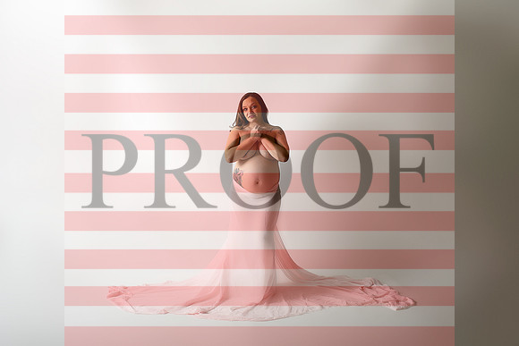 Kansas City Fine Art Studio Maternity Photography | Paola & Osawatomie Studio