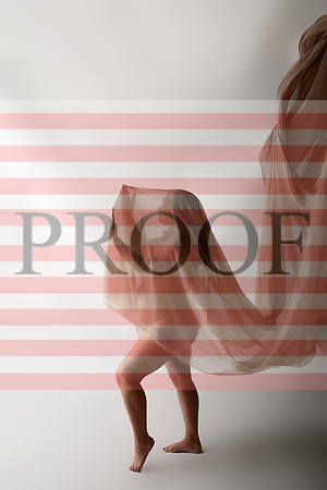 Kansas City Fine Art Studio Maternity Photography | Paola & Osawatomie Studio