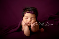 Kansas City Newborn Photographer | Award-Winning Baby Portraits