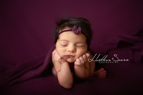 Kansas City Newborn Photographer | Award-Winning Baby Portraits