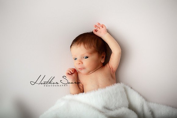 Kansas City Newborn Photographer | Award-Winning Baby Portraits