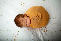 Kansas City Newborn Photographer | Award-Winning Baby Portraits