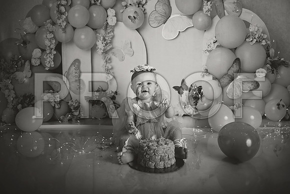 Kansas City Cake Smash Photographer | Butterfly Theme Portraits | Heather Sears Photography