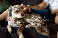 Family Photographer Kansas City | KC Lifestyle Photography