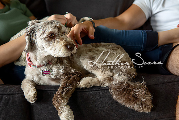 Family Photographer Kansas City | KC Lifestyle Photography