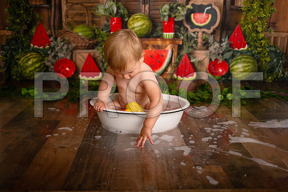 Kansas City Watermelon Cake Smash Photographer | First Birthday Portraits