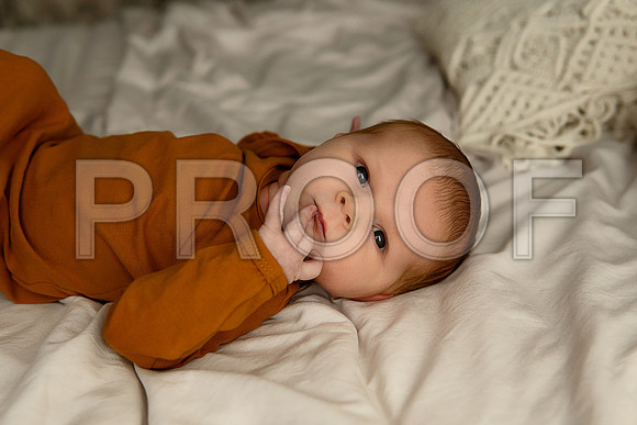 Kansas City Studio Lifestyle Newborn Photography | Natural & Timeless Newborn Portraits