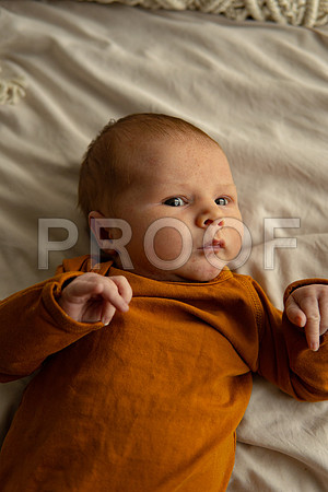 Kansas City Studio Lifestyle Newborn Photography | Natural & Timeless Newborn Portraits