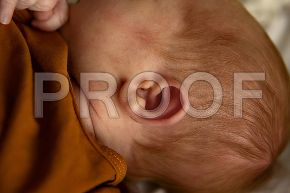 Kansas City Studio Lifestyle Newborn Photography | Natural & Timeless Newborn Portraits