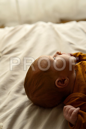 Kansas City Studio Lifestyle Newborn Photography | Natural & Timeless Newborn Portraits