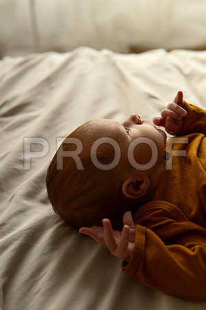 Kansas City Studio Lifestyle Newborn Photography | Natural & Timeless Newborn Portraits