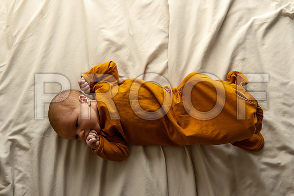 Kansas City Studio Lifestyle Newborn Photography | Natural & Timeless Newborn Portraits