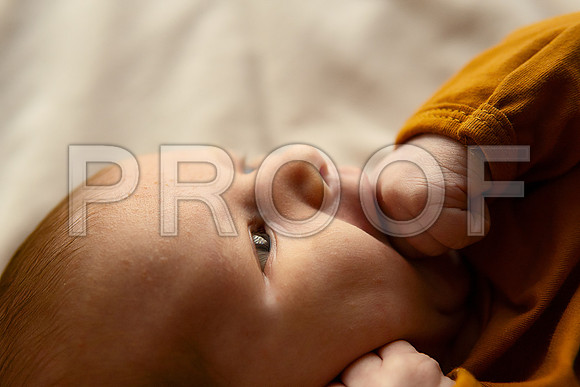 Kansas City Studio Lifestyle Newborn Photography | Natural & Timeless Newborn Portraits