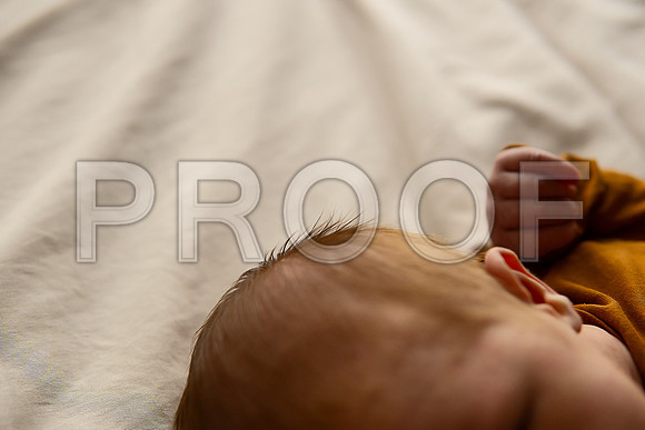 Kansas City Studio Lifestyle Newborn Photography | Natural & Timeless Newborn Portraits