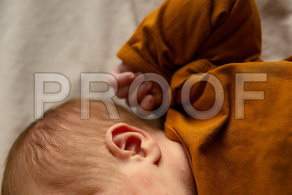 Kansas City Studio Lifestyle Newborn Photography | Natural & Timeless Newborn Portraits