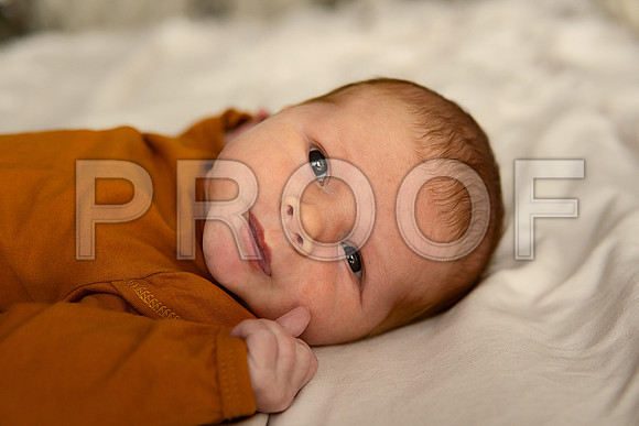 Kansas City Studio Lifestyle Newborn Photography | Natural & Timeless Newborn Portraits