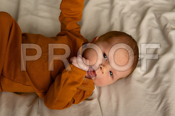 Kansas City Studio Lifestyle Newborn Photography | Natural & Timeless Newborn Portraits