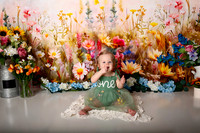 Boho Wildflower First Birthday Cake Smash Photography in Kansas City