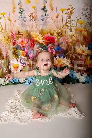 Boho Wildflower First Birthday Cake Smash Photography in Kansas City