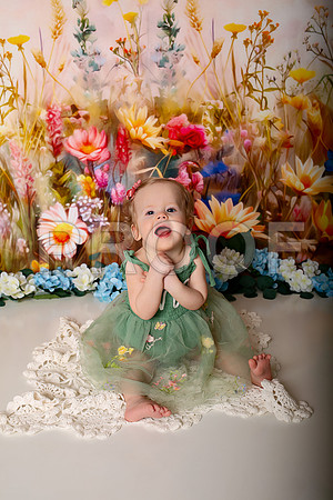 Boho Wildflower First Birthday Cake Smash Photography in Kansas City