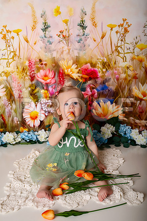 Boho Wildflower First Birthday Cake Smash Photography in Kansas City