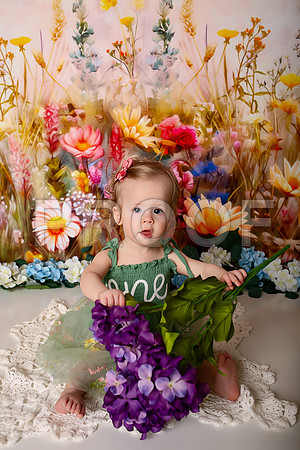 Boho Wildflower First Birthday Cake Smash Photography in Kansas City