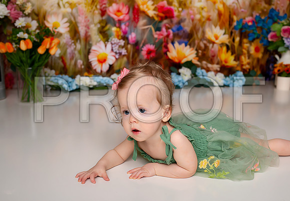 Boho Wildflower First Birthday Cake Smash Photography in Kansas City