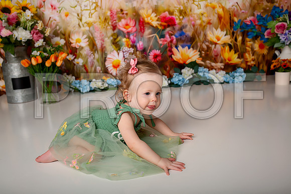 Boho Wildflower First Birthday Cake Smash Photography in Kansas City