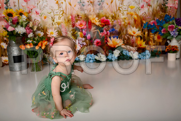 Boho Wildflower First Birthday Cake Smash Photography in Kansas City