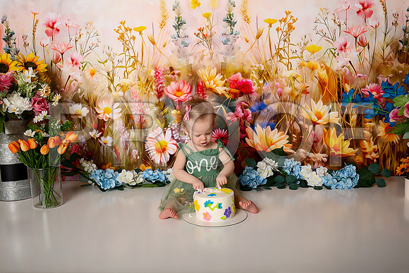 Boho Wildflower First Birthday Cake Smash Photography in Kansas City