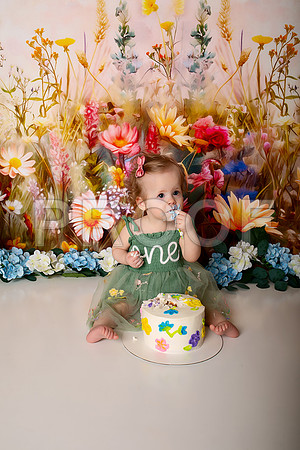 Boho Wildflower First Birthday Cake Smash Photography in Kansas City